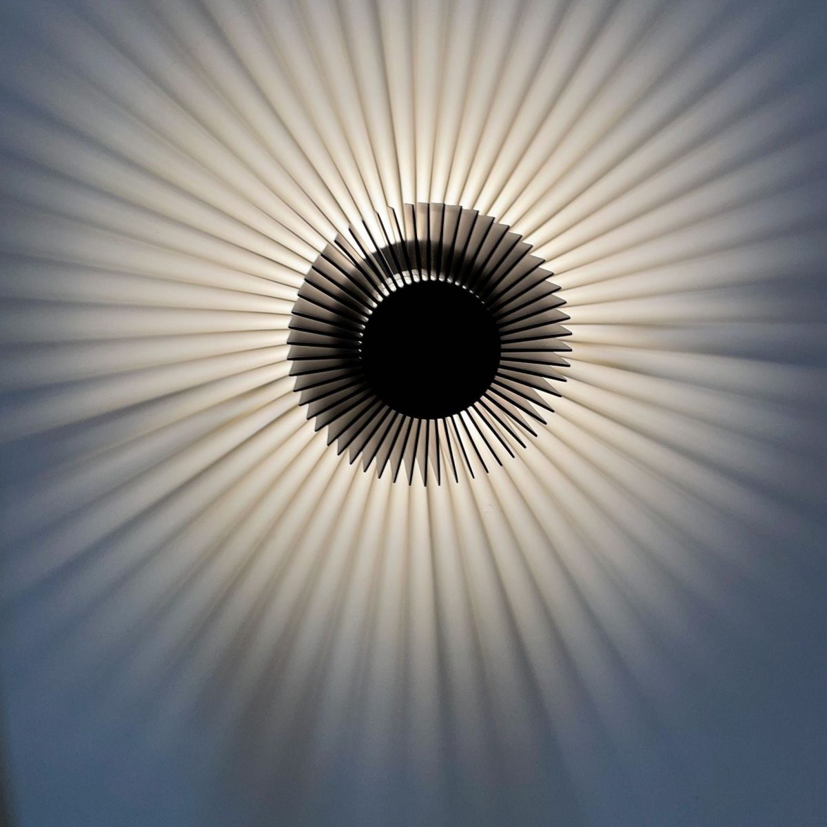 Modern Minimalist Aluminum Round Sun Flower Design LED Wall Sconce Lamp For Living Room - Image 3