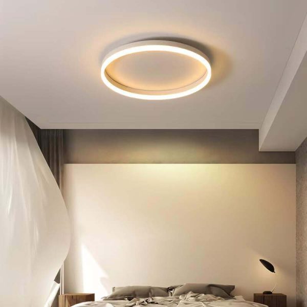 Nordic Minimalist Circle Ring Iron Acrylic LED Flush Mount Ceiling Light - Image 24