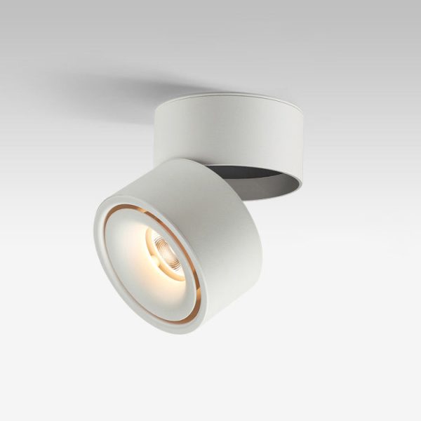 Modern Minimalist Cylinder Adjustable Angle Aluminum LED Flush Mount Ceiling Light For Living Room - Image 23