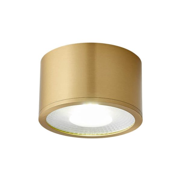 Modern Cylindrical Brass LED Spotlight Flush Mount Ceiling Light - Image 12