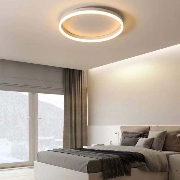 Nordic Minimalist Circle Ring Iron Acrylic LED Flush Mount Ceiling Light - Image 27