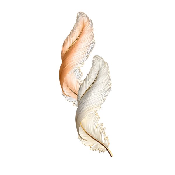 Feathers Creative Luxury Decorative Painting USB Remote LED Wall Lights - Image 11