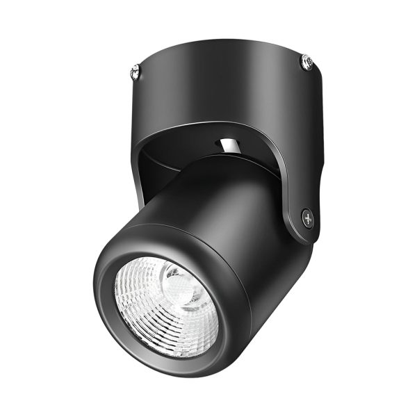 Adjustable Aluminum Round COB Modern Ceiling Mounted Spotlight Downlight - Image 7