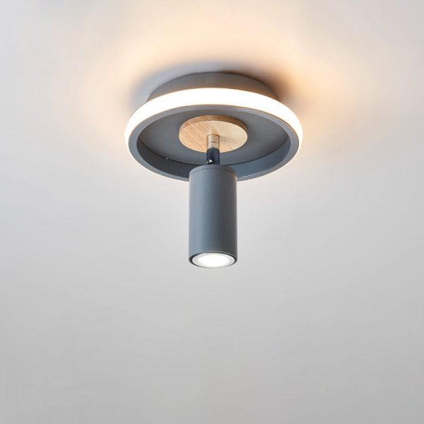 Contemporary Industrial Iron Barrel Spotlight 1-Light Flush Mount Light - Image 3