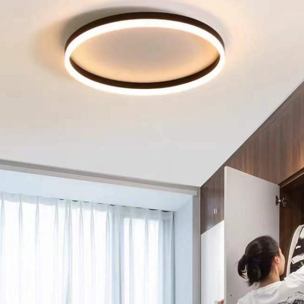 Nordic Minimalist Circle Ring Iron Acrylic LED Flush Mount Ceiling Light - Image 30