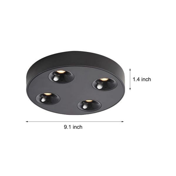 9.1-Inch Peg 4-Light LED Flush Mount Ceiling Light for Bathroom - Image 9