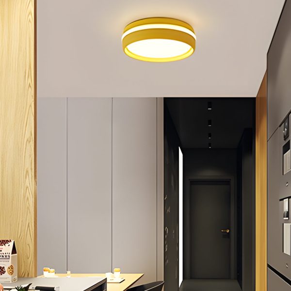 7.9-Inch Round Flush Mount Lighting LED Ceiling Light Acrylic Ceiling Lamp Ceiling-Mounted LED Light for Bedroom - Image 14