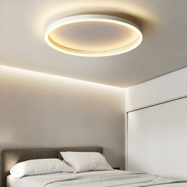 Nordic Minimalist Circle Ring Iron Acrylic LED Flush Mount Ceiling Light - Image 23