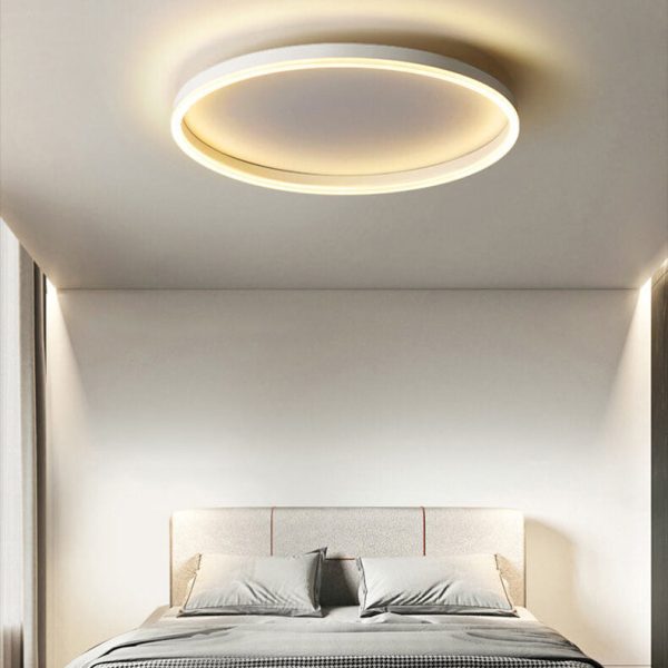 Nordic Minimalist Circle Ring Iron Acrylic LED Flush Mount Ceiling Light - Image 29