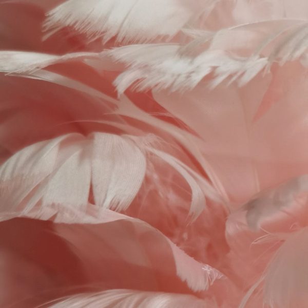 Contemporary Nordic Goose Feather Metal Flamingo Ball 1-Light Table Lamp For Bedside - Image 10