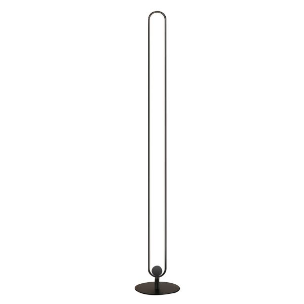 Modern Minimalist LED Standing Oval Floor Lamp - Image 5