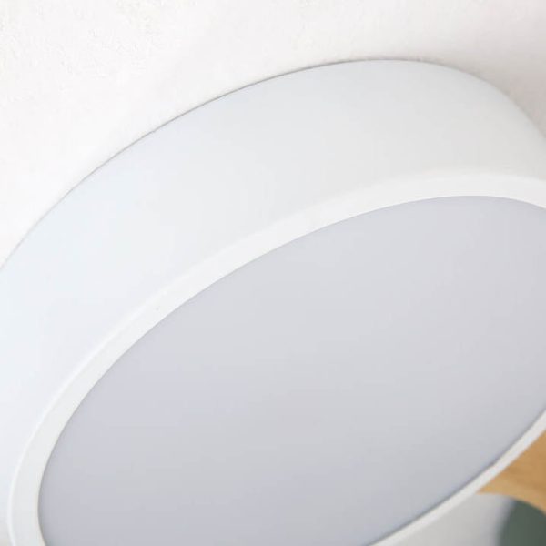 Modern Macaron Circle 3/4/5/8 Light LED Flush Mount Ceiling Light - Image 8