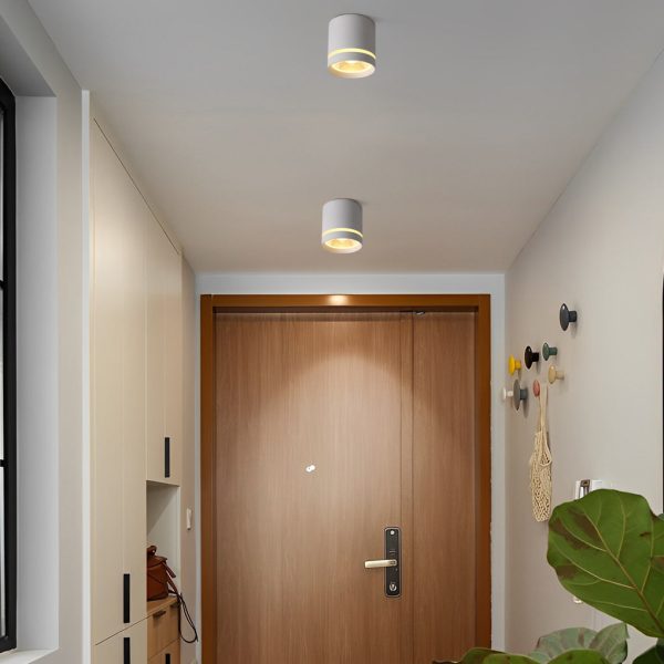 Cylindrical Shapes LED Modern Ceiling Lights Flush Mount Lighting - Image 3