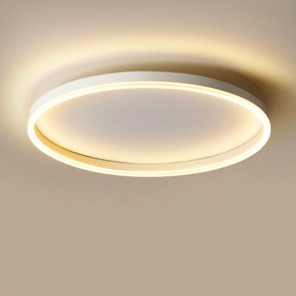 Nordic Minimalist Circle Ring Iron Acrylic LED Flush Mount Ceiling Light - Image 17