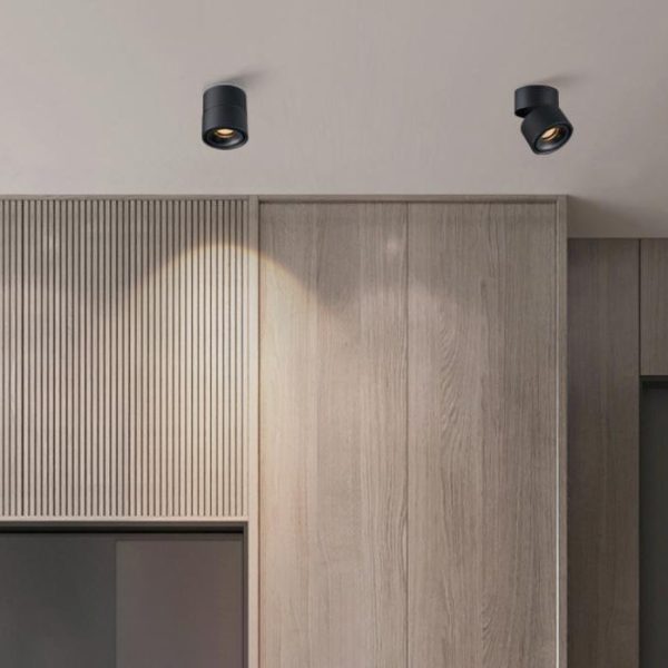 Modern Minimalist Cylinder Adjustable Angle Aluminum LED Flush Mount Ceiling Light For Living Room - Image 12