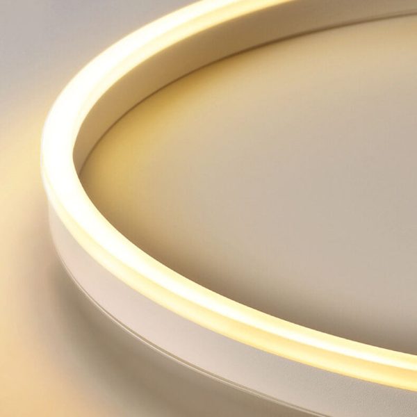 Nordic Minimalist Circle Ring Iron Acrylic LED Flush Mount Ceiling Light - Image 13