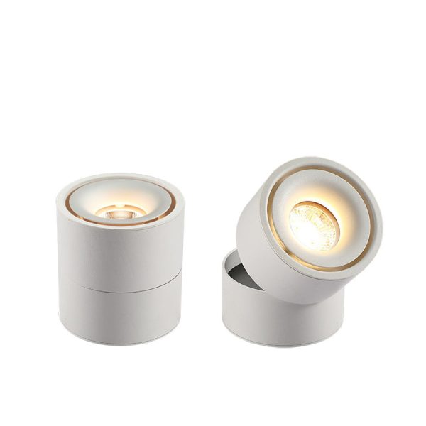 Modern Minimalist Cylinder Adjustable Angle Aluminum LED Flush Mount Ceiling Light For Living Room - Image 22