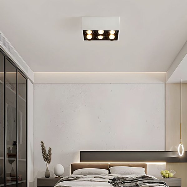 Rectangle Adjustable 6-Head Flush Mount Ceiling Lights Spotlight - Image 3