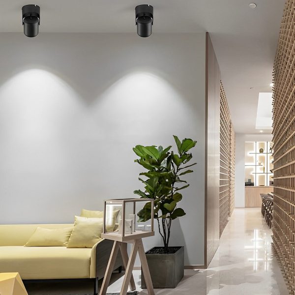 Adjustable Aluminum Round COB Modern Ceiling Mounted Spotlight Downlight - Image 6