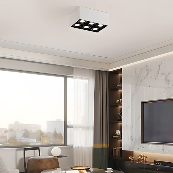 Rectangle Adjustable 6-Head Flush Mount Ceiling Lights Spotlight - Image 6