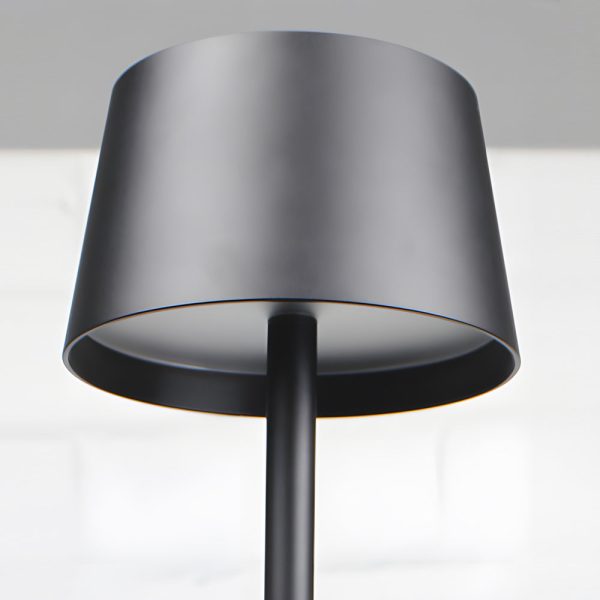 48.8-in Black Touch Dimming LED Rechargeable Floor Lamp - Image 7