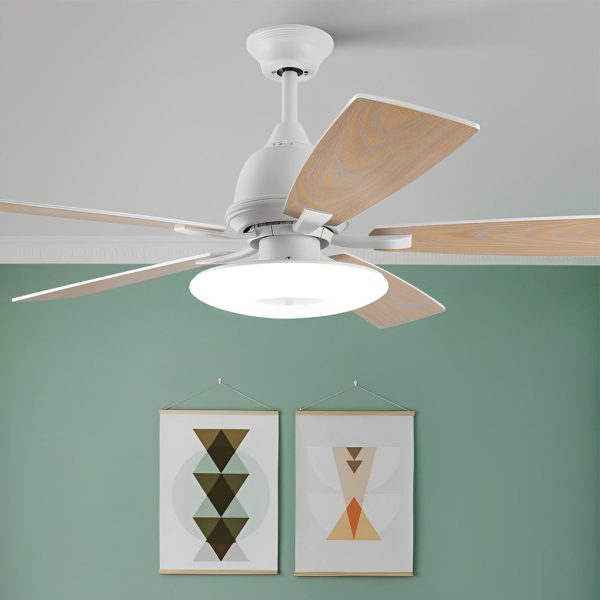 5 Blades Mute Dimmable LED with Remote Creative Nordic Ceiling Fans - Image 3