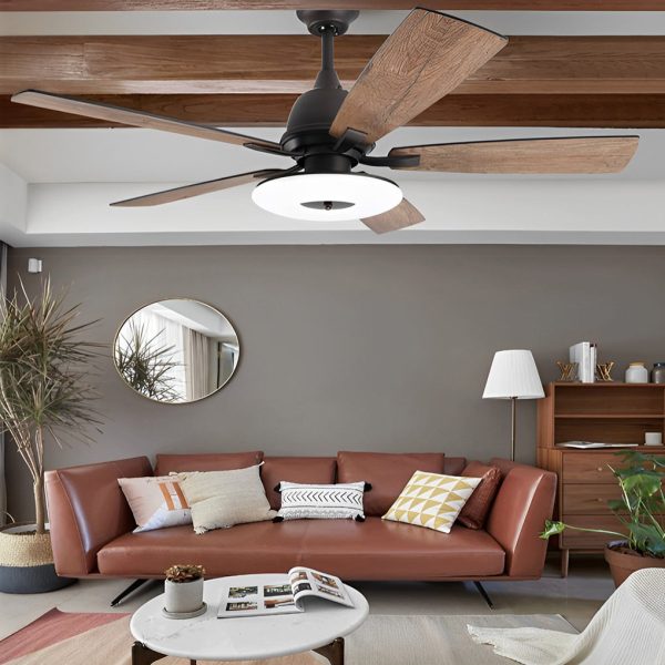5 Blades Mute Dimmable LED with Remote Creative Nordic Ceiling Fans - Image 2