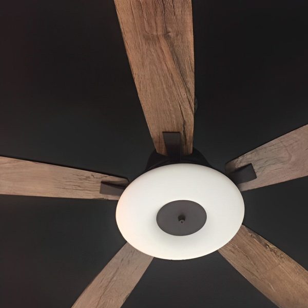 5 Blades Mute Dimmable LED with Remote Creative Nordic Ceiling Fans - Image 9