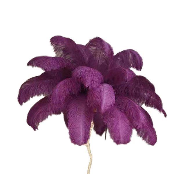 O'Moore Nordic Luxury Unique Ostrich Feather Floor Lamp/Table Lamp - Image 35