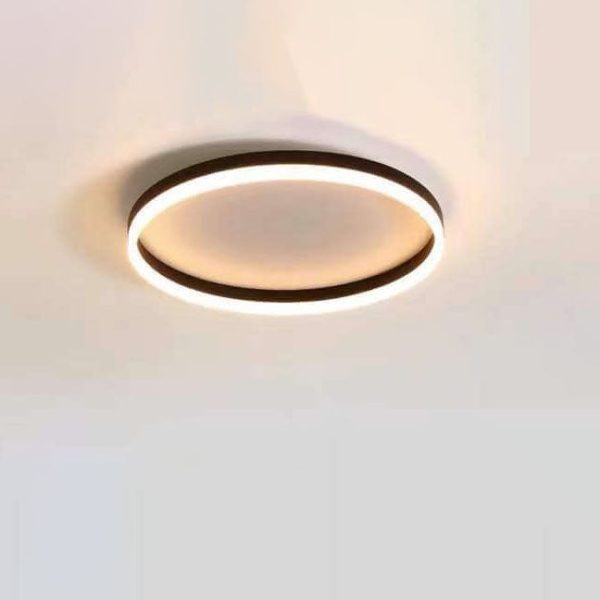 Nordic Minimalist Circle Ring Iron Acrylic LED Flush Mount Ceiling Light - Image 5