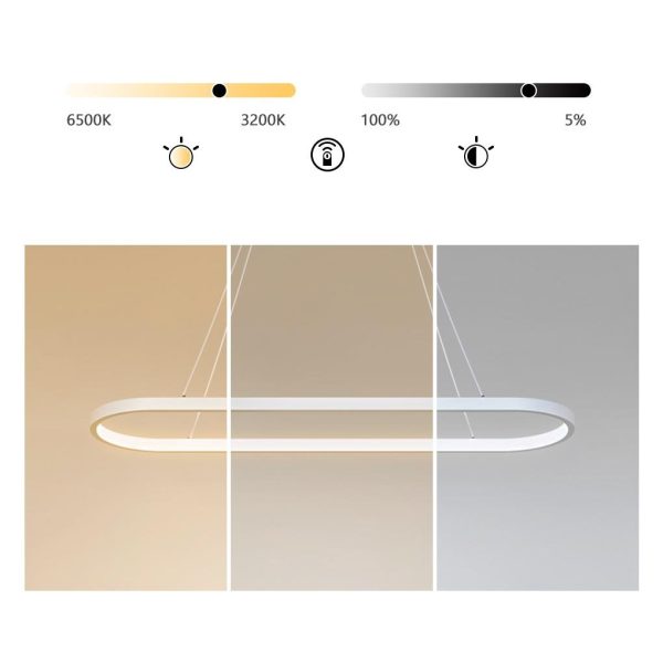 Modern Oval Hanging Chandelier with Remote Control - Image 5