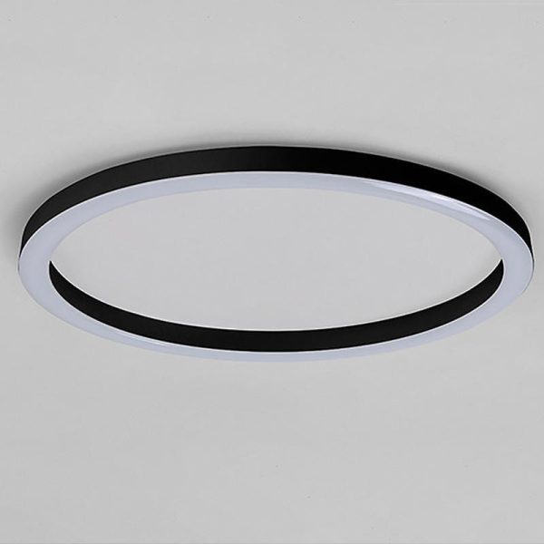 16'' Modern Simple Circle Flush Mount LED Lights Dimmable Ceiling Lights with Remote - Image 6