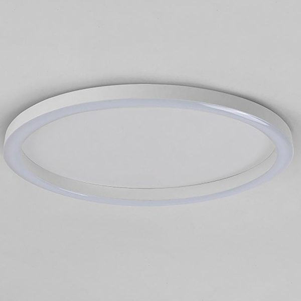 16'' Modern Simple Circle Flush Mount LED Lights Dimmable Ceiling Lights with Remote - Image 9