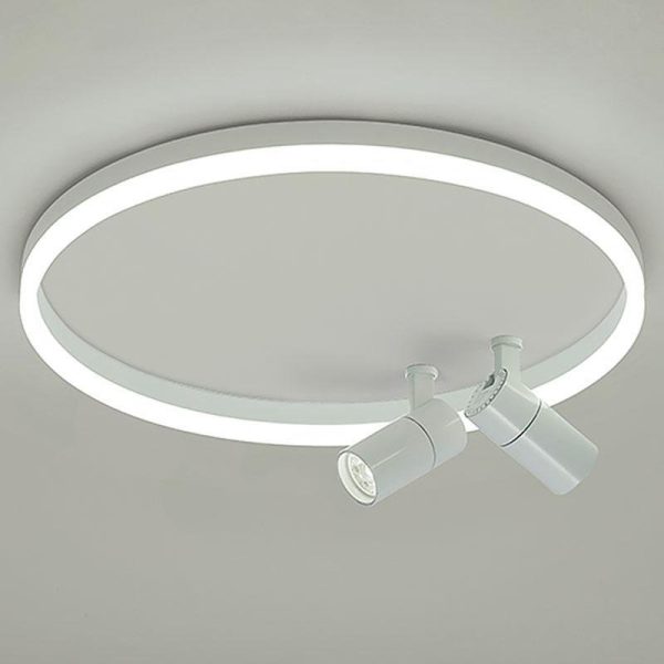 16'' Round Dimmable Adjustable Flush Mount Light with 2 Spotlights Track Lights - Image 7