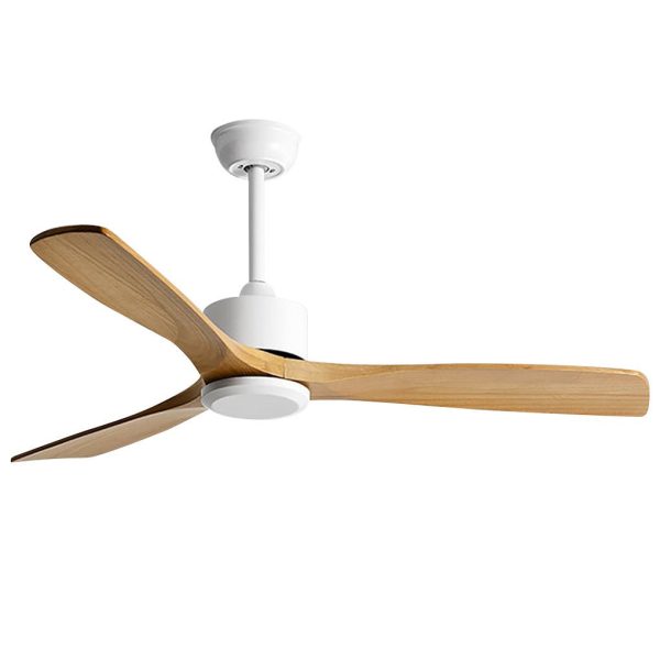 Frequency Conversion, Remote Control, Mute Ceiling Fan with Adjustable Wind Speed - Image 10