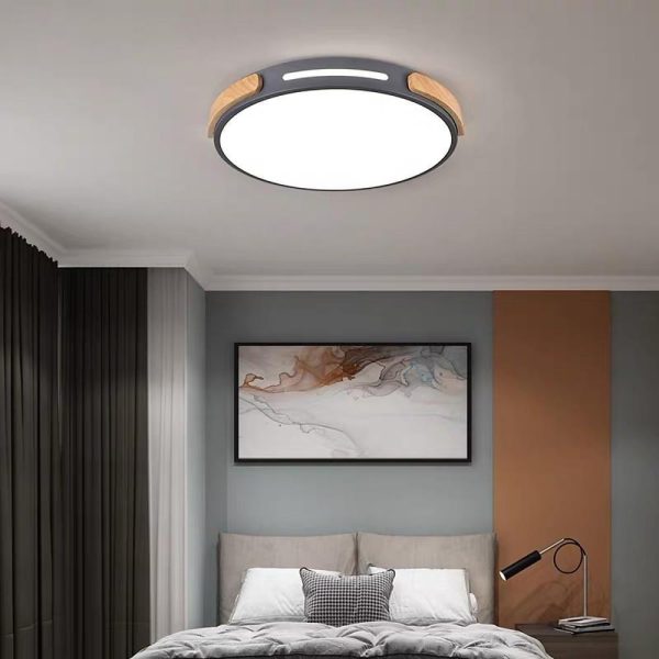 Minimalist Round Design LED Modern Ceiling Lights Flush Mount Lighting - Image 7