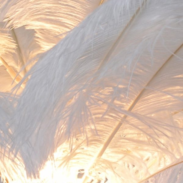 30 Inch Statement Ostrich Feather Decorative Accent Floor Lamp - Image 10