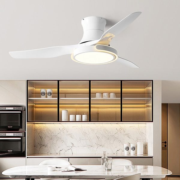 Remote Control Variable Frequency Dimming Integrated Ceiling Fan Light Supports Forward and Reverse - Image 9