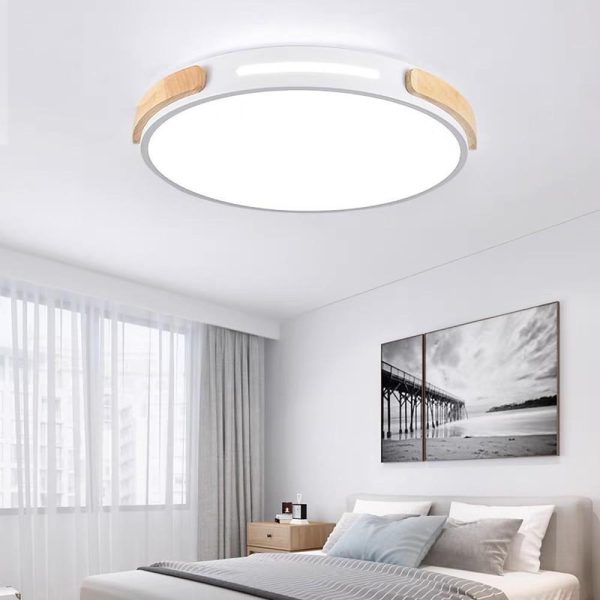 Minimalist Round Design LED Modern Ceiling Lights Flush Mount Lighting - Image 2