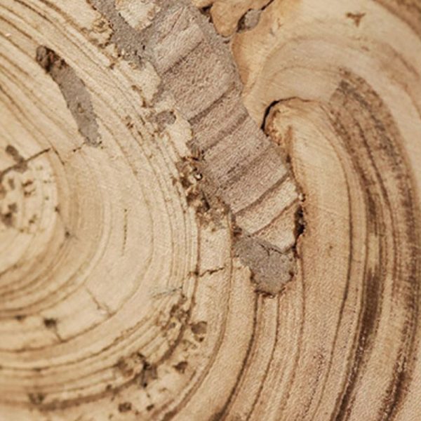 Traditional Vintage Round Column Wood End Table For Bedside - Image 9