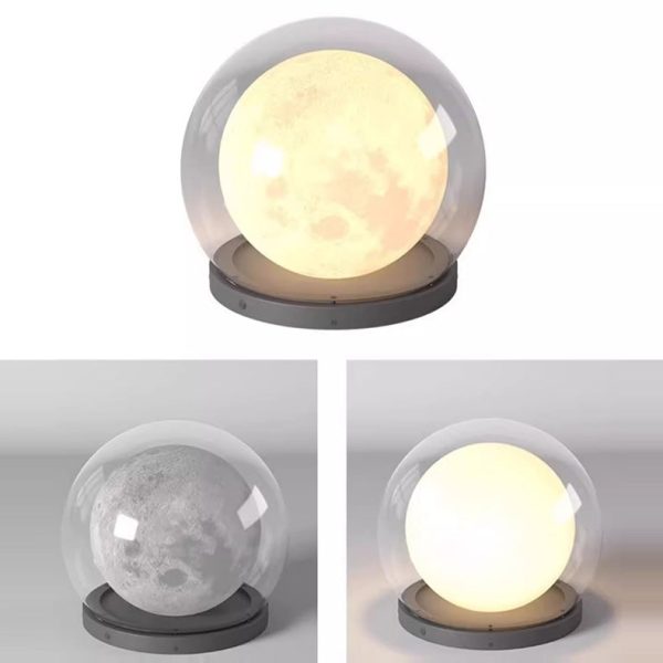 Contemporary Creative Moon Stainless Steel PE PMMA 1-Light Outdoor Light For Garden - Image 6