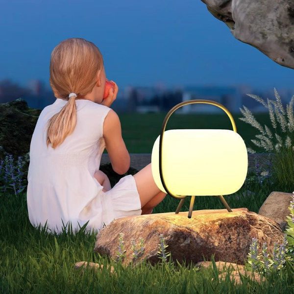 Modern Minimalist Solar Waterproof Portable Oval PE Shade Iron LED Outdoor Light For Garden - Image 8