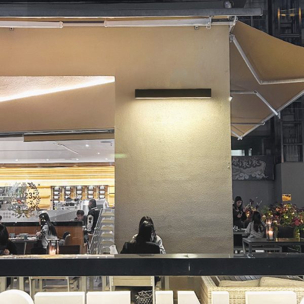 Modern Simplicity Aluminum Long Strip LED Waterproof Wall Sconce Lamp For Outdoor Patio - Image 2