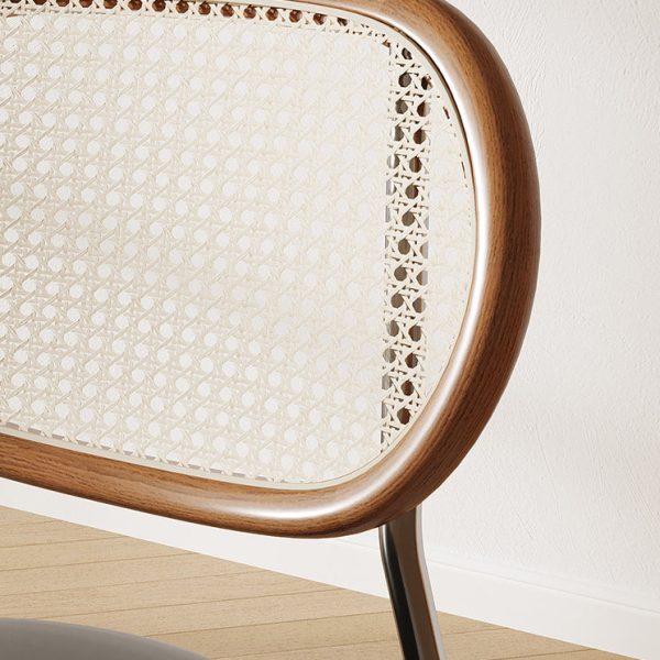 Contemporary Boho Leather Rattan Stainless Steel Dining Chair Backrest Armless For Dining Room - Image 5