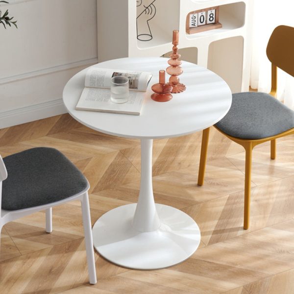 Contemporary Scandinavian Round PP Iron Coffee Table 1-Tier For Living Room - Image 10