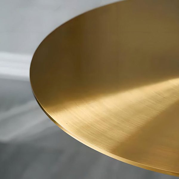 Modern Minimalist Round Stainless Steel End Table 1-Tier For Living Room - Image 5