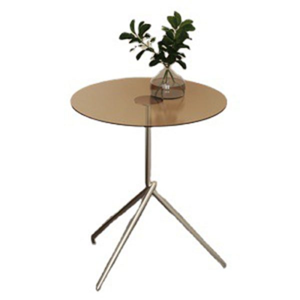 Contemporary Scandinavian Round Iron Acrylic End Table 1-Tier For Living Room - Image 8