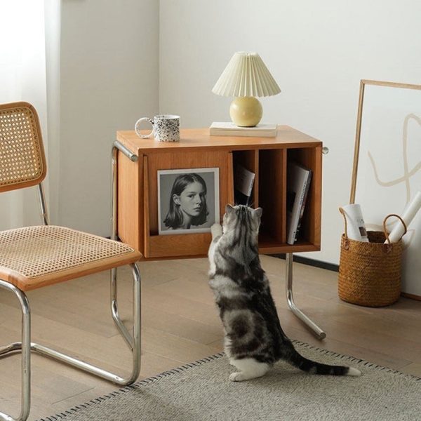 Traditional Japanese Rectangular Solid Wood Stainless Steel End Table Storage Cabinet For Living Room - Image 10
